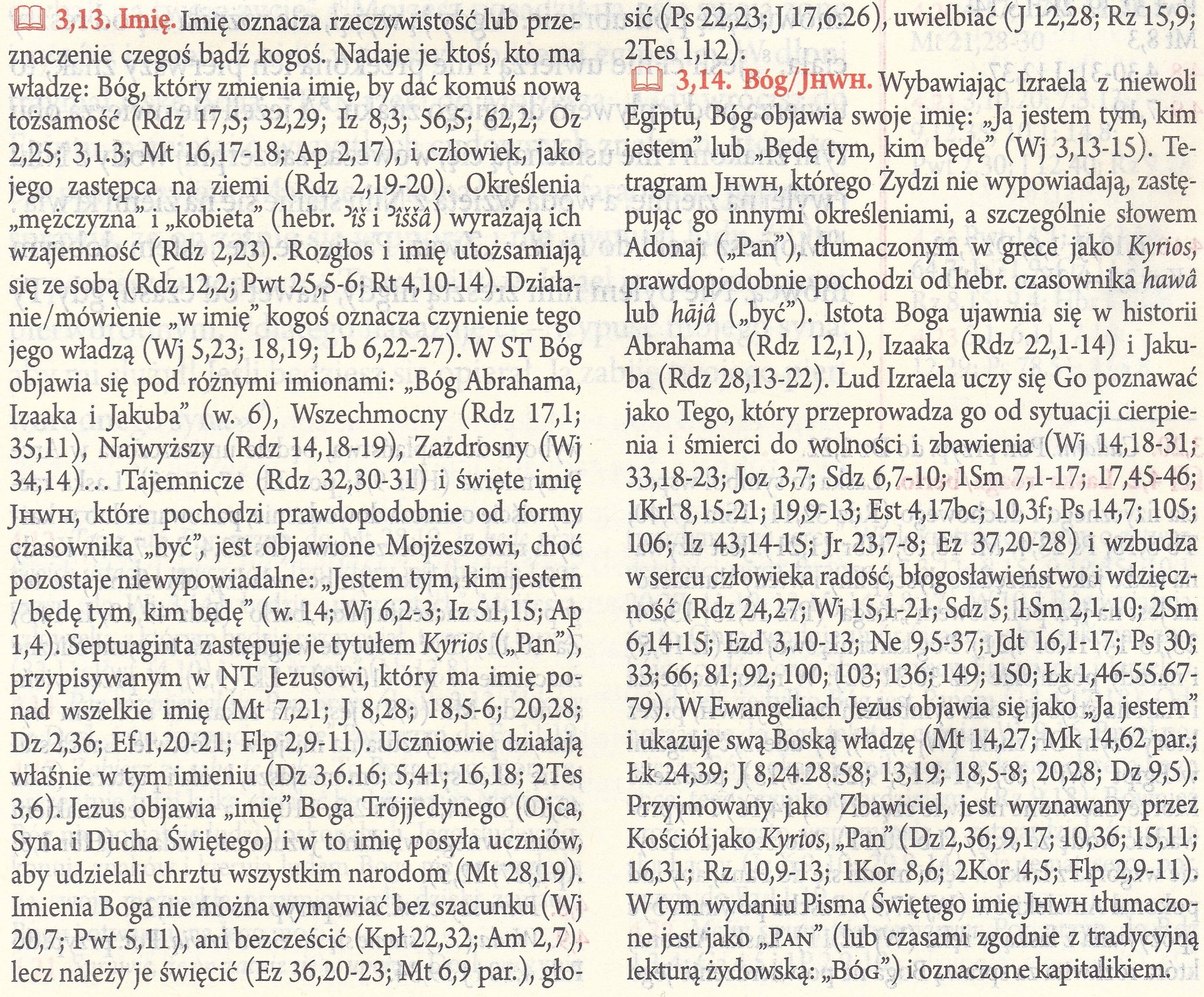 Biblia + wyd. Święty Paweł