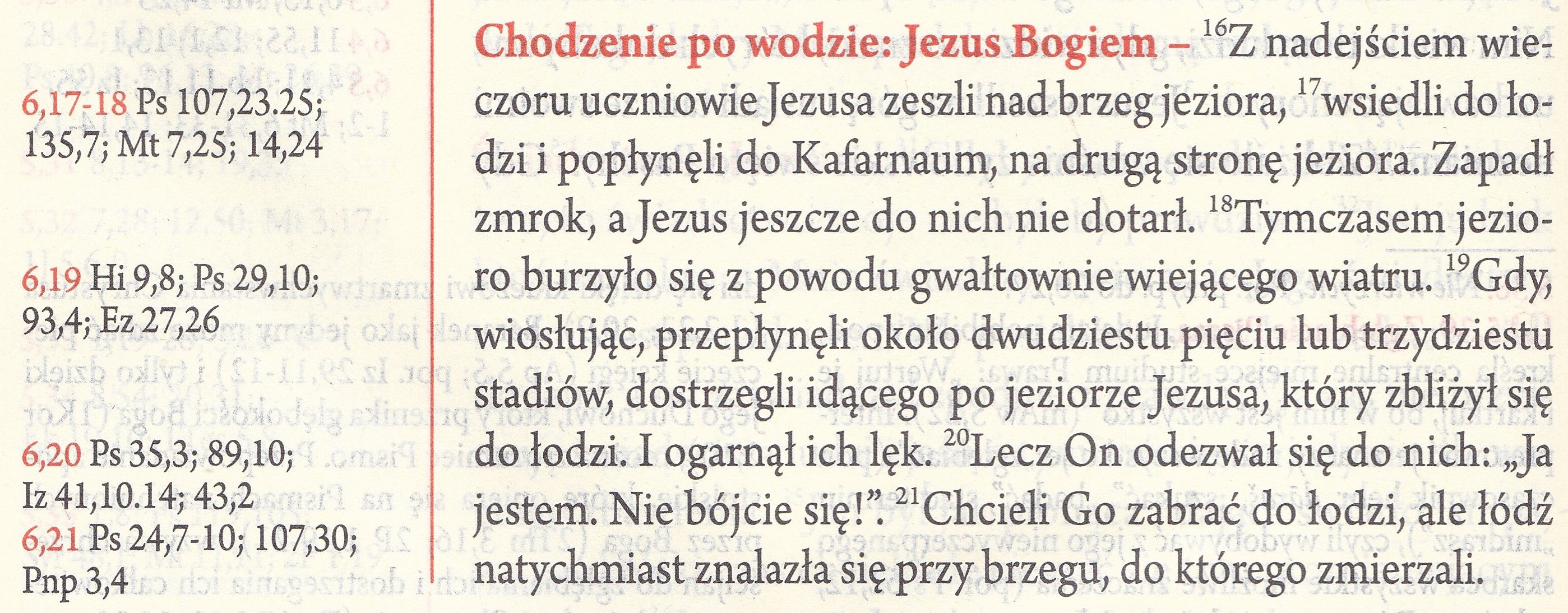 Biblia + wyd. Święty Paweł