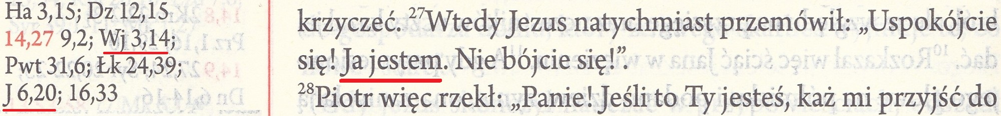 Biblia + wyd. Święty Paweł