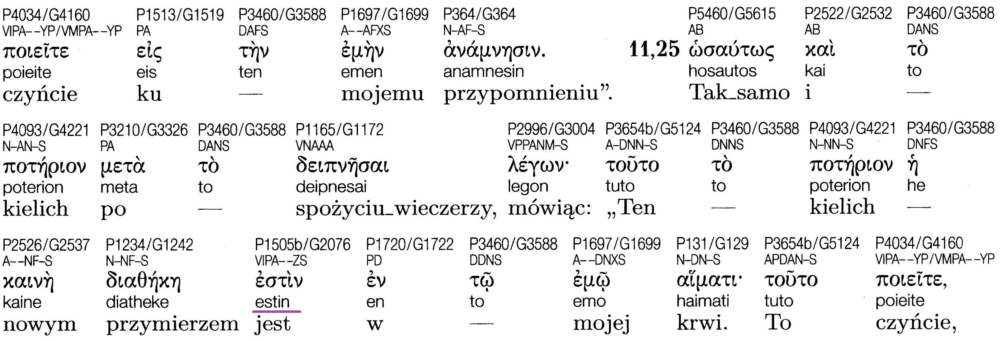 Grecko-polski Nowy Testament