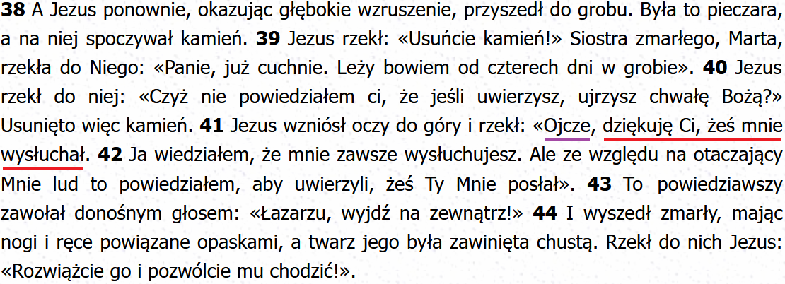 Biblia Tysiąclecia Pallottinum
