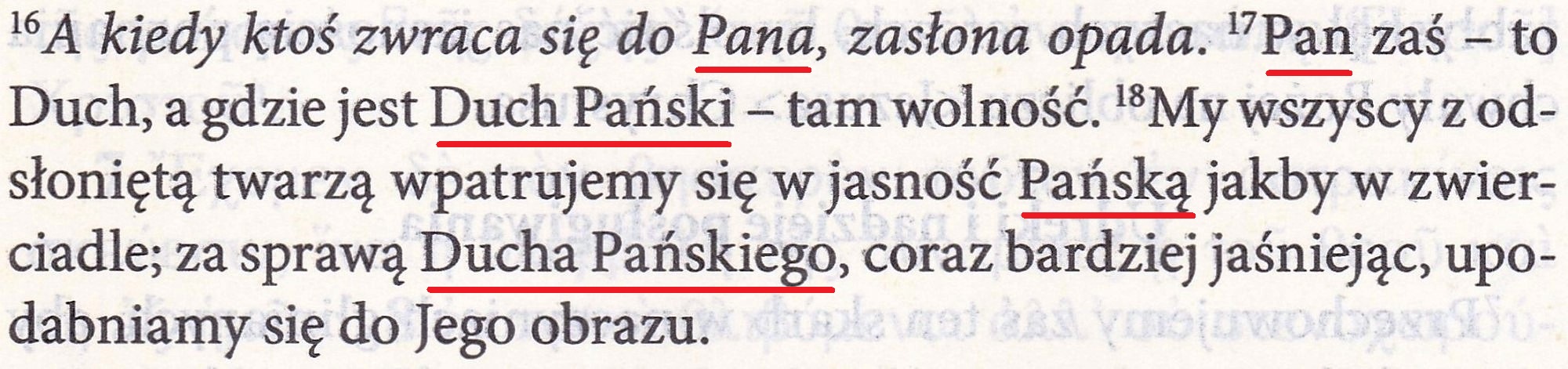 Nowy Testament Grecko-Polski Nestle-Aland