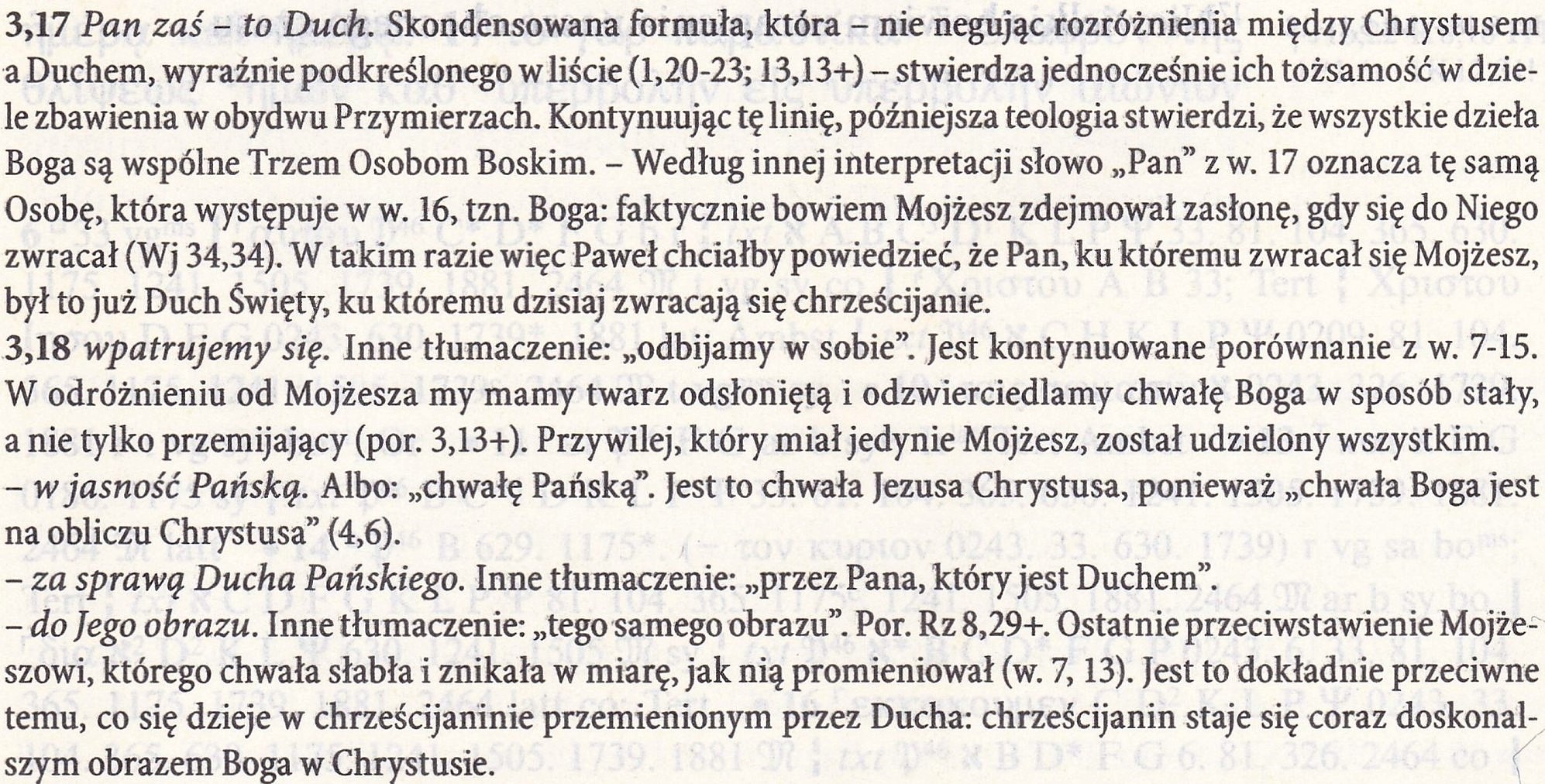 Nowy Testament Grecko-Polski Nestle-Aland