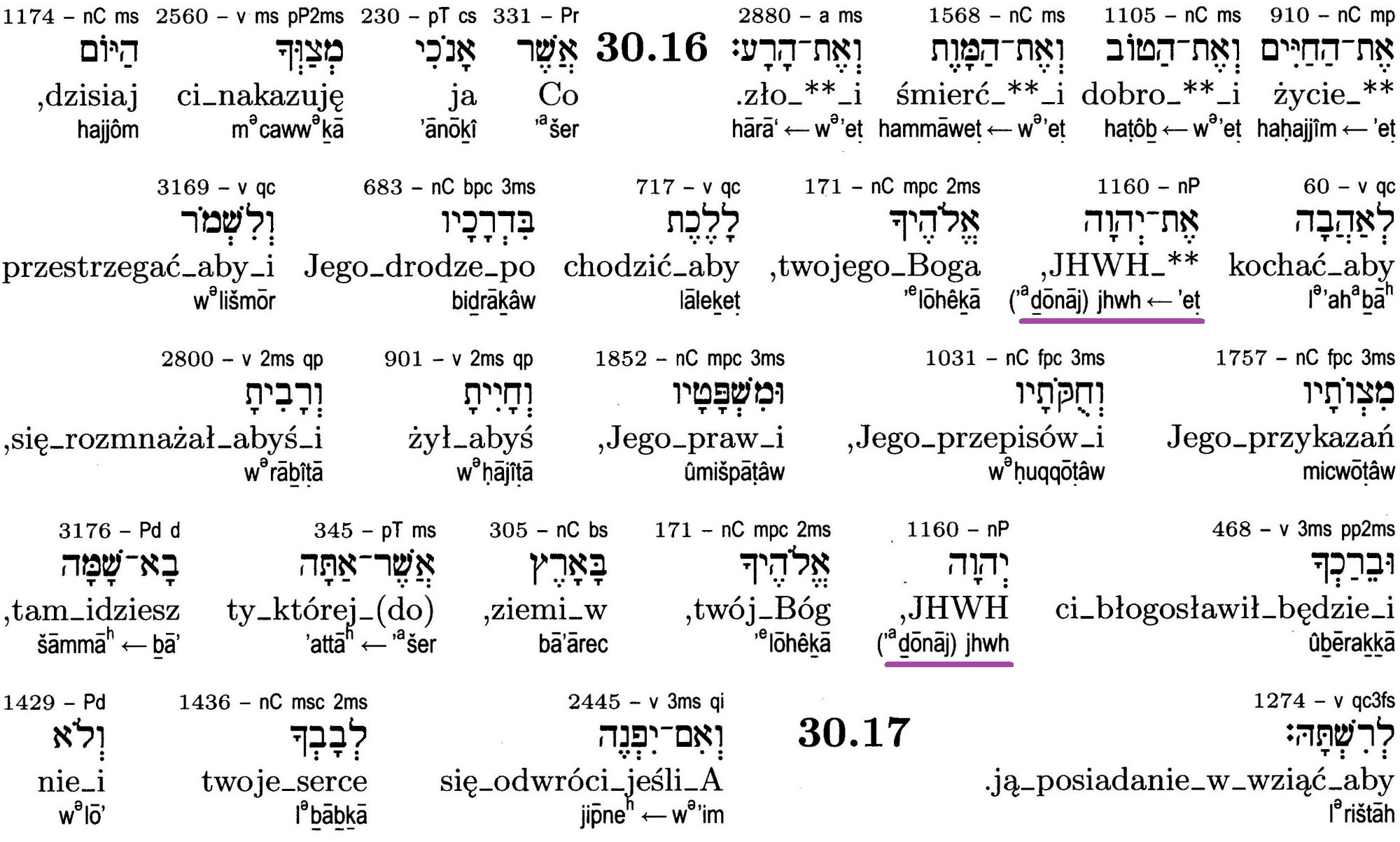 Pięcioksiąg Vocatio