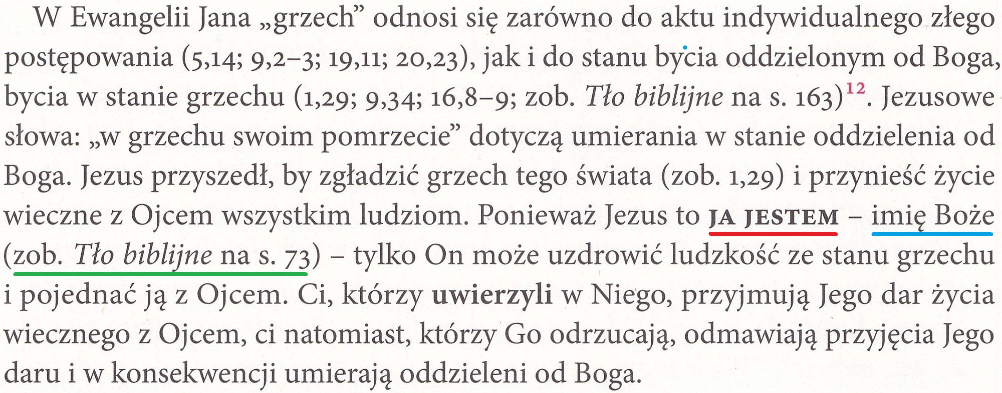 Ewangelia według św. Jana. Katolicki Komentarz do Pisma Świętego