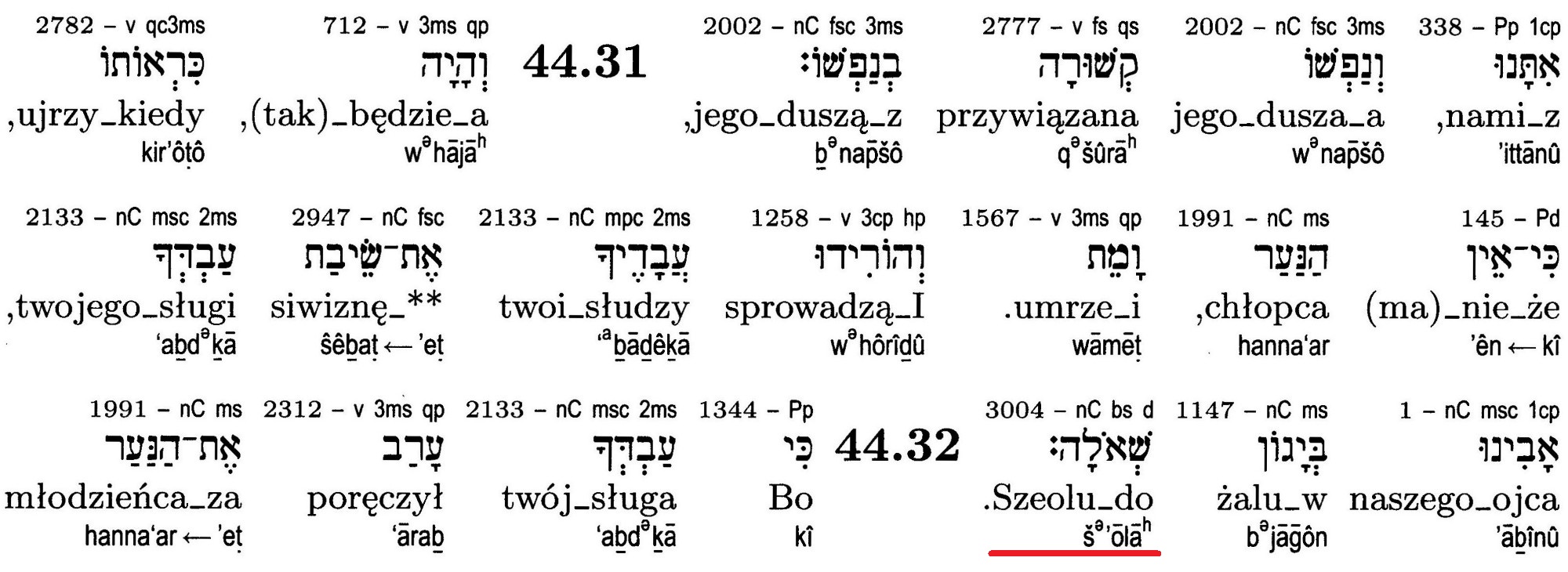 Pięcioksiąg Vocatio