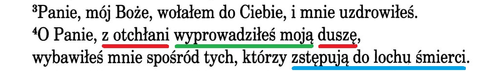 Septuaginta Vocatio po polsku