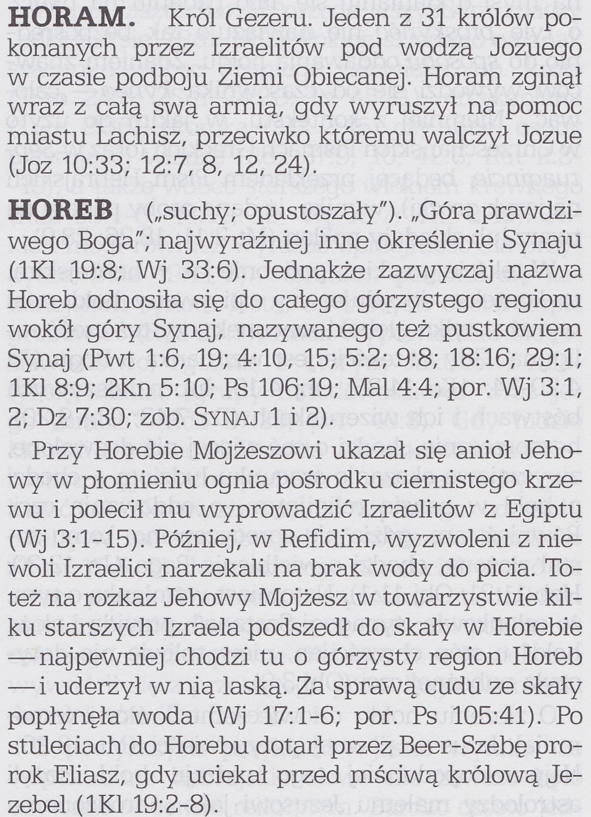 Wnikliwe poznawanie Pism Tom 1