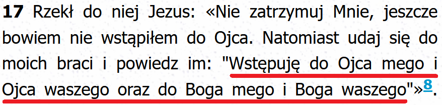 Biblia Tysięclecia Pallottinum