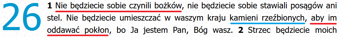 Biblia Tysięclecia Pallottinum