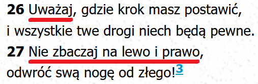 Biblia Tysięclecia Pallottinum