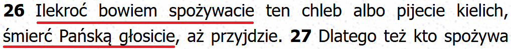 Biblia Tysiąclecia Pallottinum