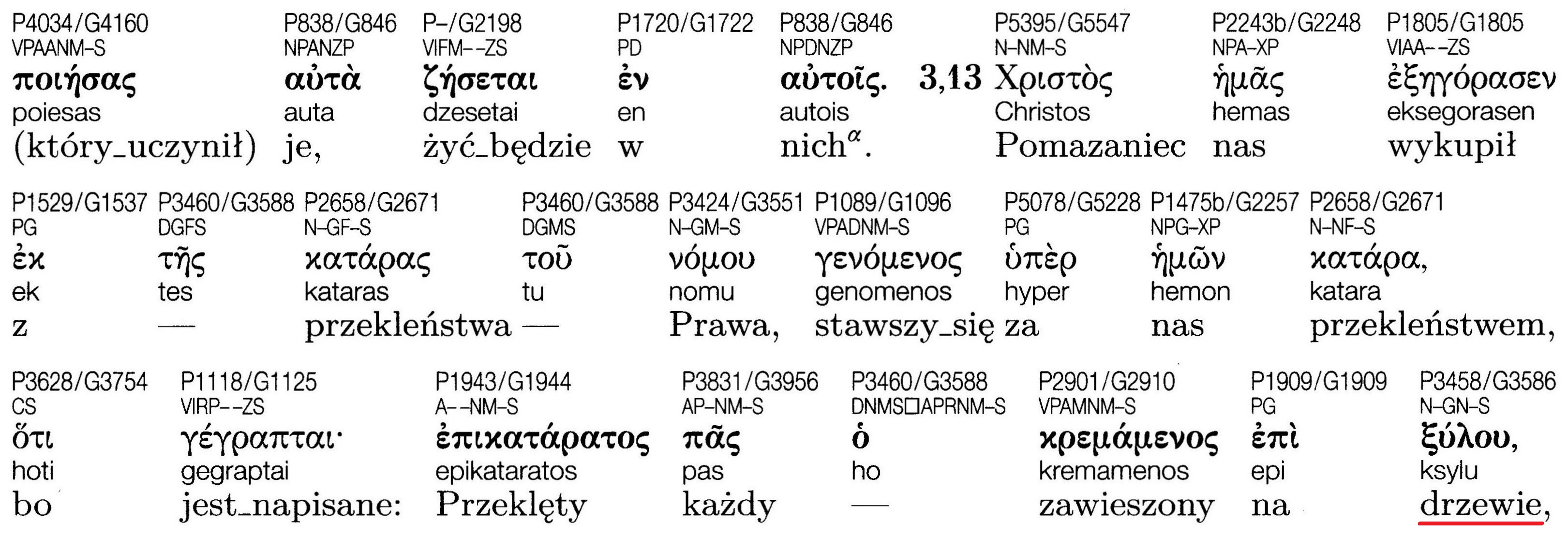 Nowy Testament Grecko-grecki
