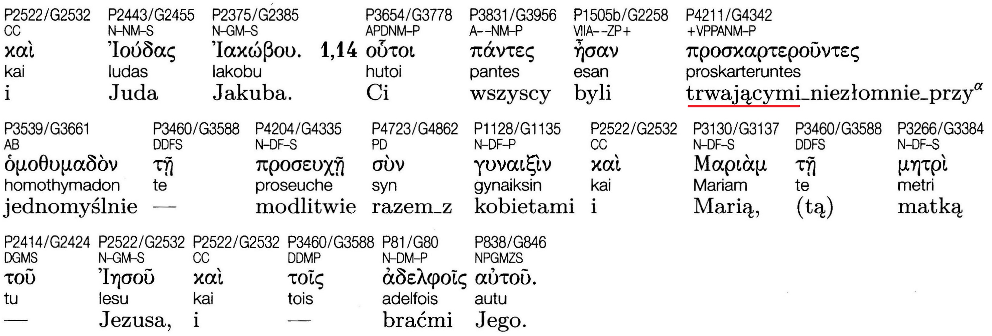Grecko-polski Nowy Testament