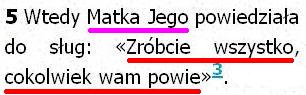 Biblia Tysiąclecia Pallottinum