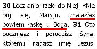 Biblia Tysiąclecia Pallottinum