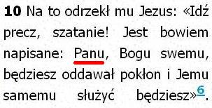 Biblia Tysiąclecia Pallottinum