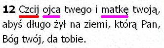 Biblia Tysiąclecia Pallottinum
