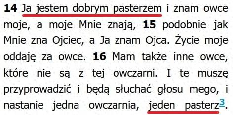 Biblia Tysiąclecia Pallottinum