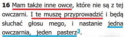 Biblia Tysiąclecia Pallottinum