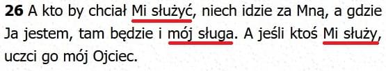 Biblia Tysiąclecia Pallottinum