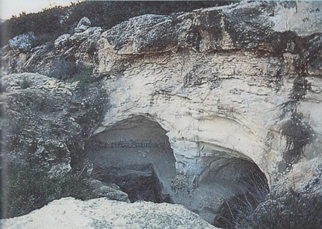 Wnikliwe poznawanie Pism tom.1