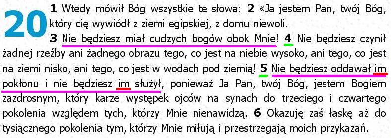 Biblia Tysiąclecia Pallottinum