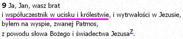 Biblia Tysiąclecia Pallottinum