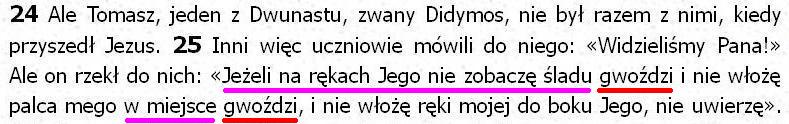 Biblia Tysiąclecia Pallottinum