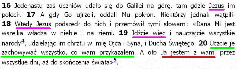 Biblia Tysiąclecia Pallottinum