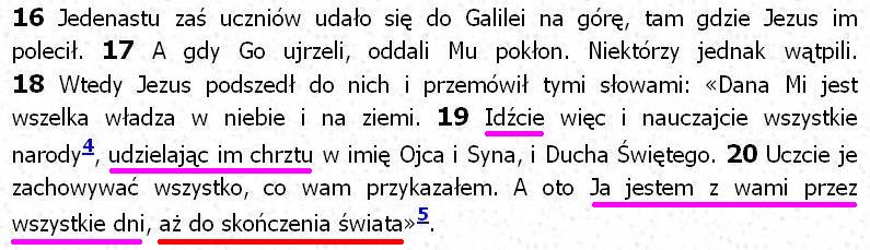 Biblia Tysiąclecia Pallottinum