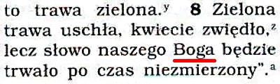 Przekład Nowego Świata