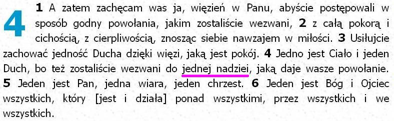 Biblia Tysiąclecia Pallottinum