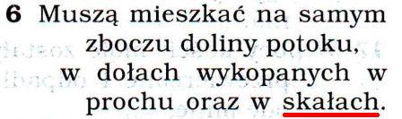 Przekład Nowego Świata
