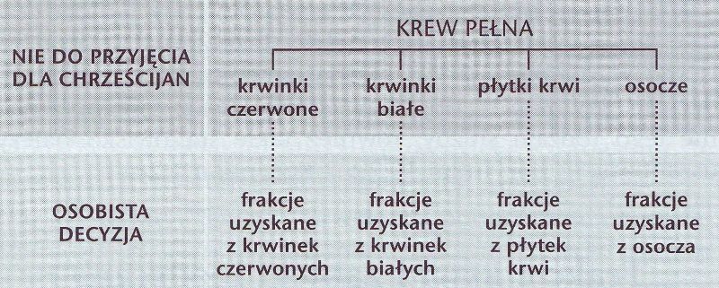 Trwajcie w miłości Bożej