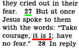 Przekład Nowego Świata