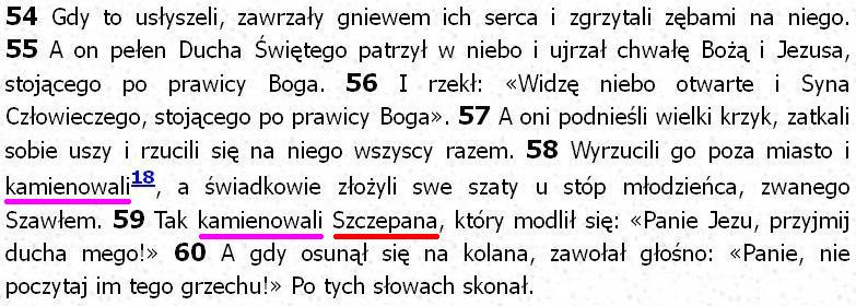 Biblia Tysiąclecia Pallottinum