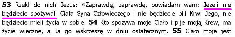 Biblia Tysiąclecia Pallottinum