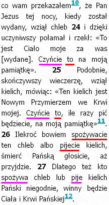 Biblia Tysiąclecia Pallottinum
