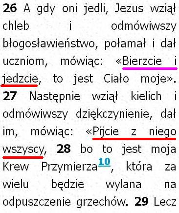 Biblia Tysiąclecia Pallottinum
