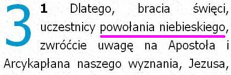 Biblia Tysiąclecia Pallottinum