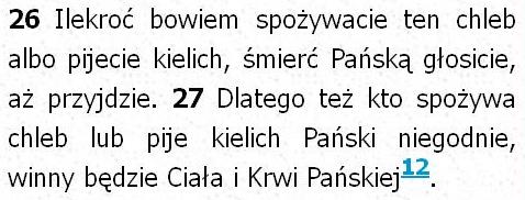 Biblia Tysiąclecia Pallottinum
