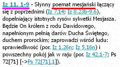 Bibia Tysiąclecia Pallottinum