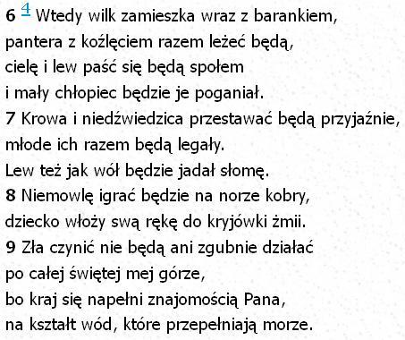 Bibia Tysiąclecia Pallottinum