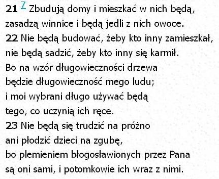 Bibia Tysiąclecia Pallottinum