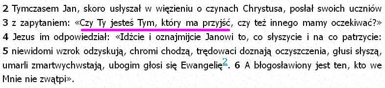 Bibia Tysiąclecia Pallottinum