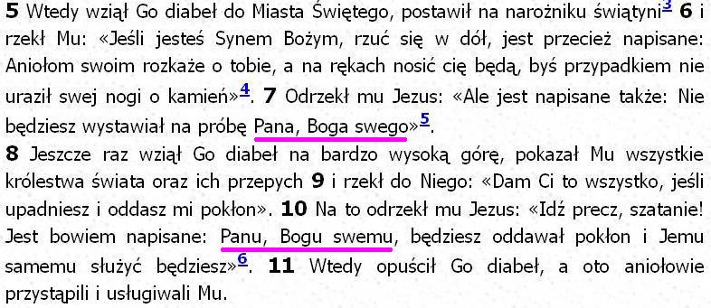 Biblia Tysiąclecia Pallottinum