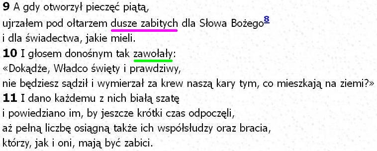 Biblia Tysiąclecia Pallottinum