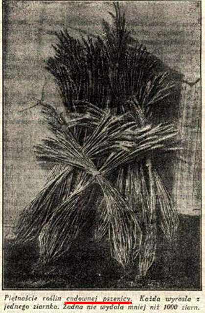 Złoty Wiek 1 lipca 1925