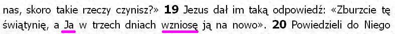 Biblia Tysiąclecia Pallottinum